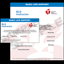 BLS Instructor eCard (International)